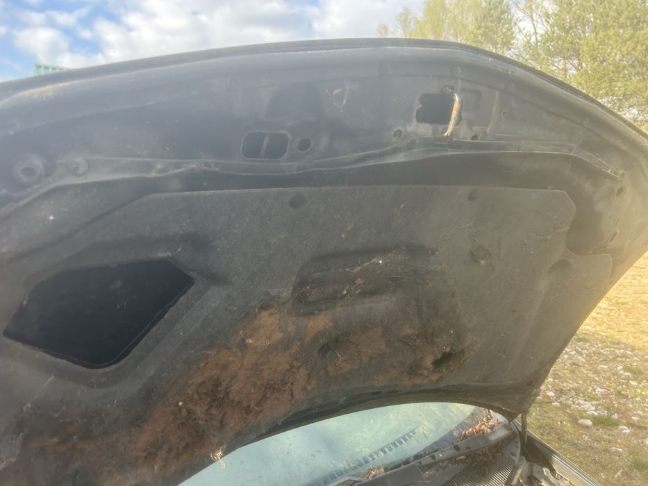 Kompletny przod Bez Rdzy Mazda Premacy  wszystkie Czesci Tanio