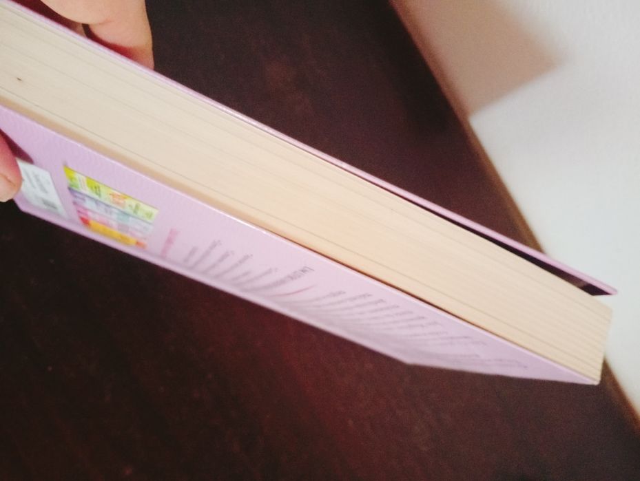 Livro Bíblia dos Anjos