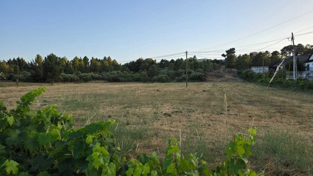 Terreno Barracão urbano à venda na Rua da Fábrica, 11.000 m² cada lote