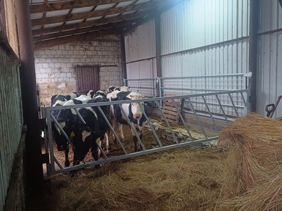 Bramy płoty przegrody dla bydła koni