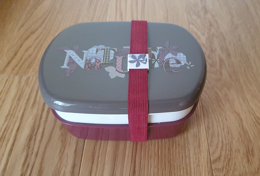 Lunchbox śniadaniówka Nature