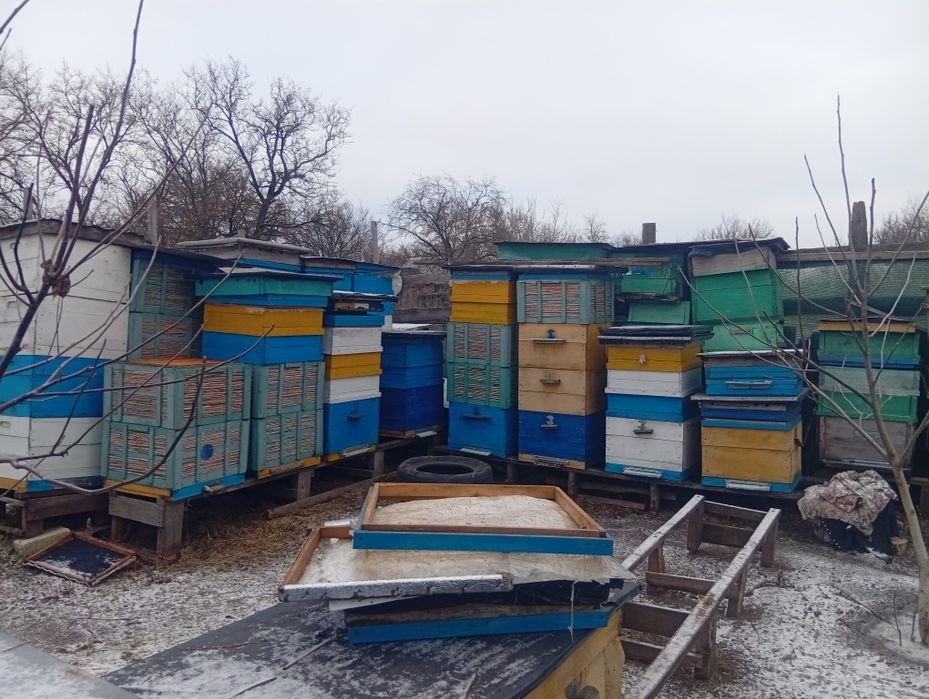 Продам вулики корпусні додану 12рамков 300гр