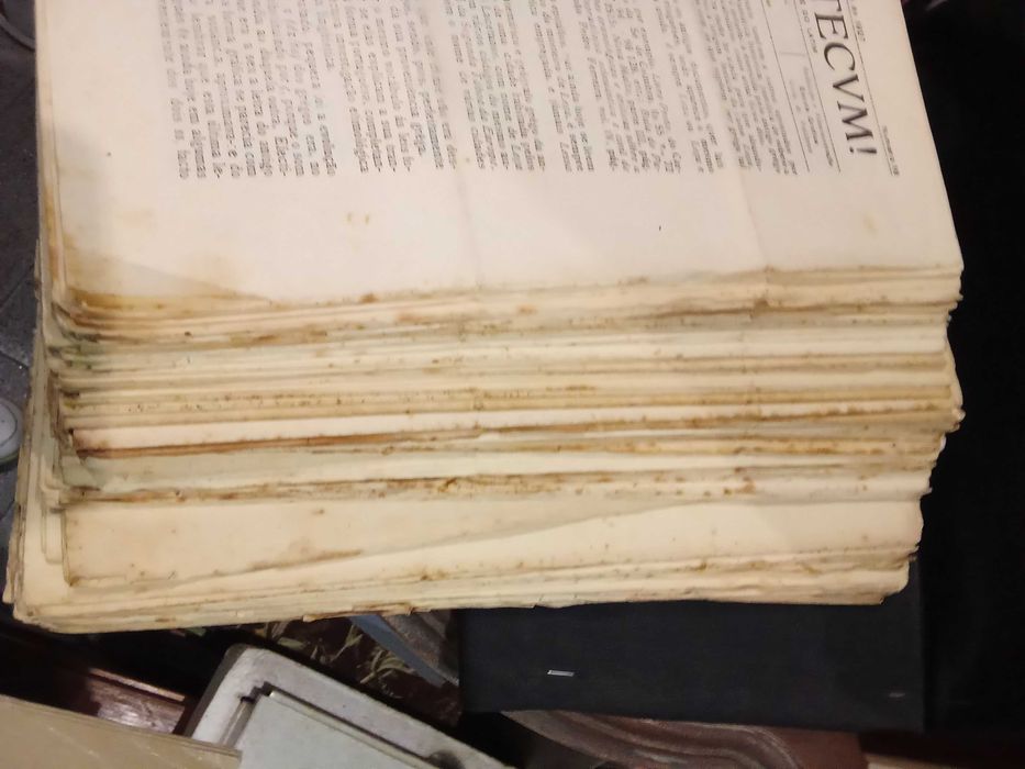 Jornal Dominvs Tecvm! - Braga/ Arco de Valdevez (64 unidades)