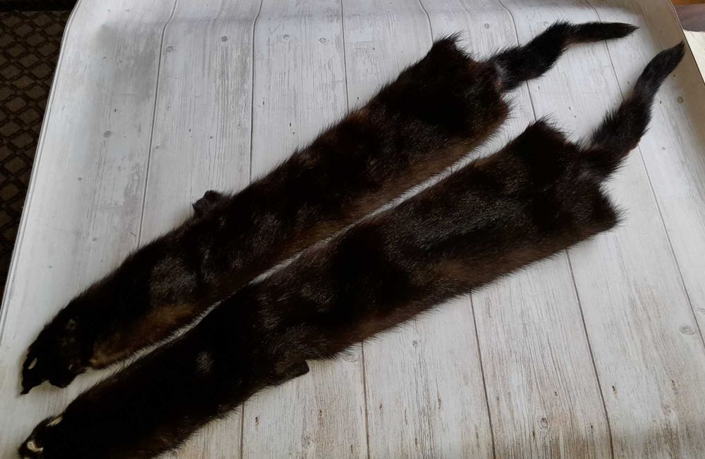 Шкірка шоколадної норки
