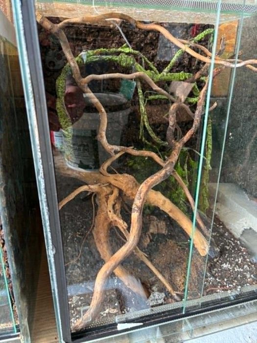 Terrarium używane