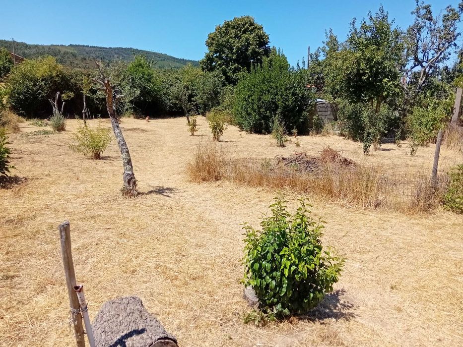Continua Disponivel - Vendo moradia bifamiliar com terreno no Estreito