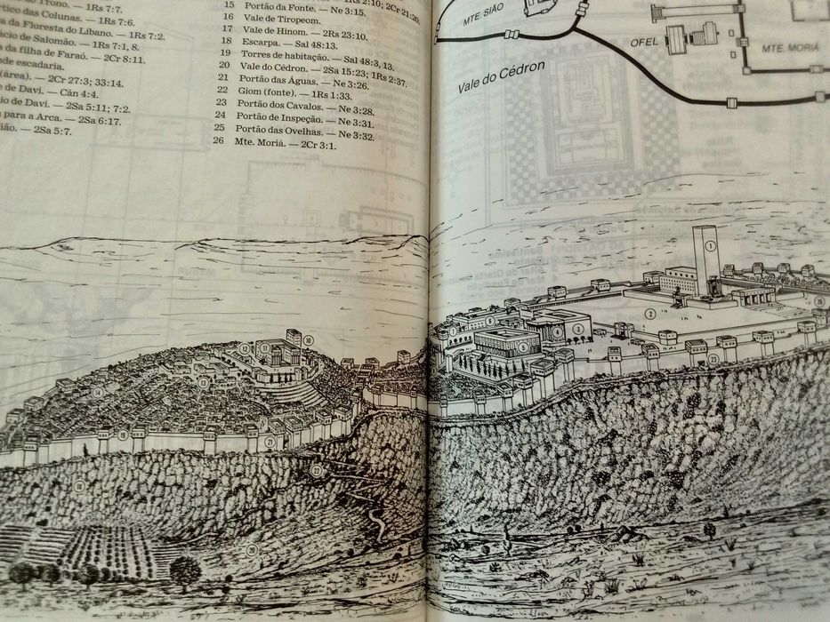 Tradução do Novo Mundo das Escrituras Sagradas