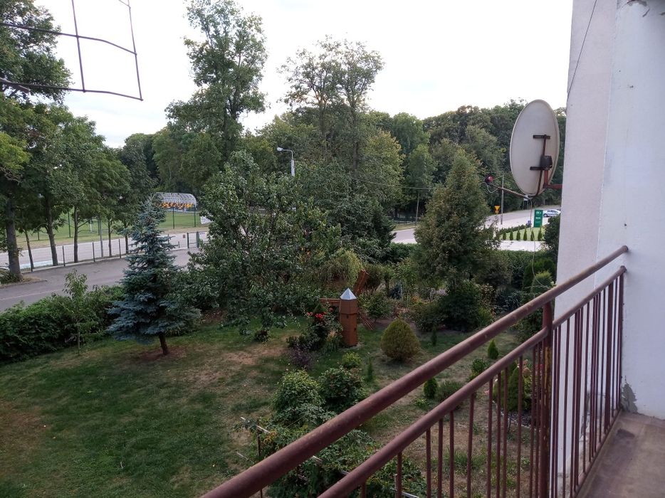 Mieszkanie do wynajęcia.