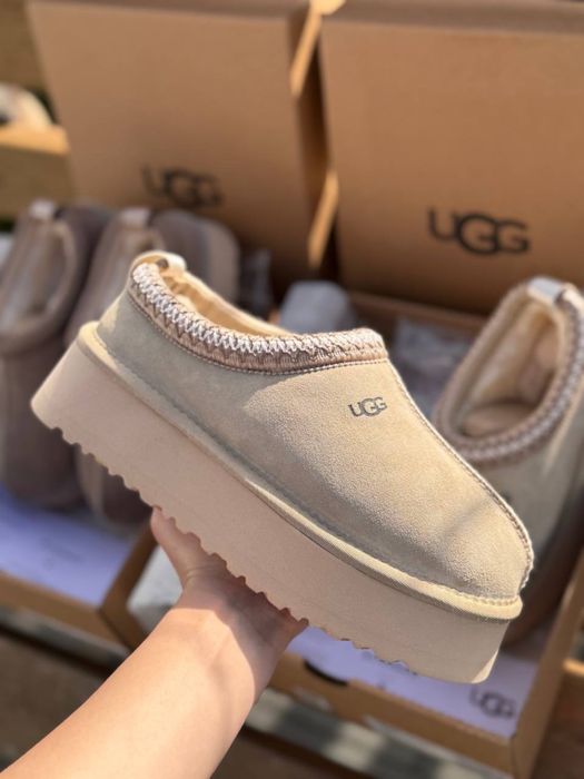 Ugg tasman tazz бежеві угги уггі