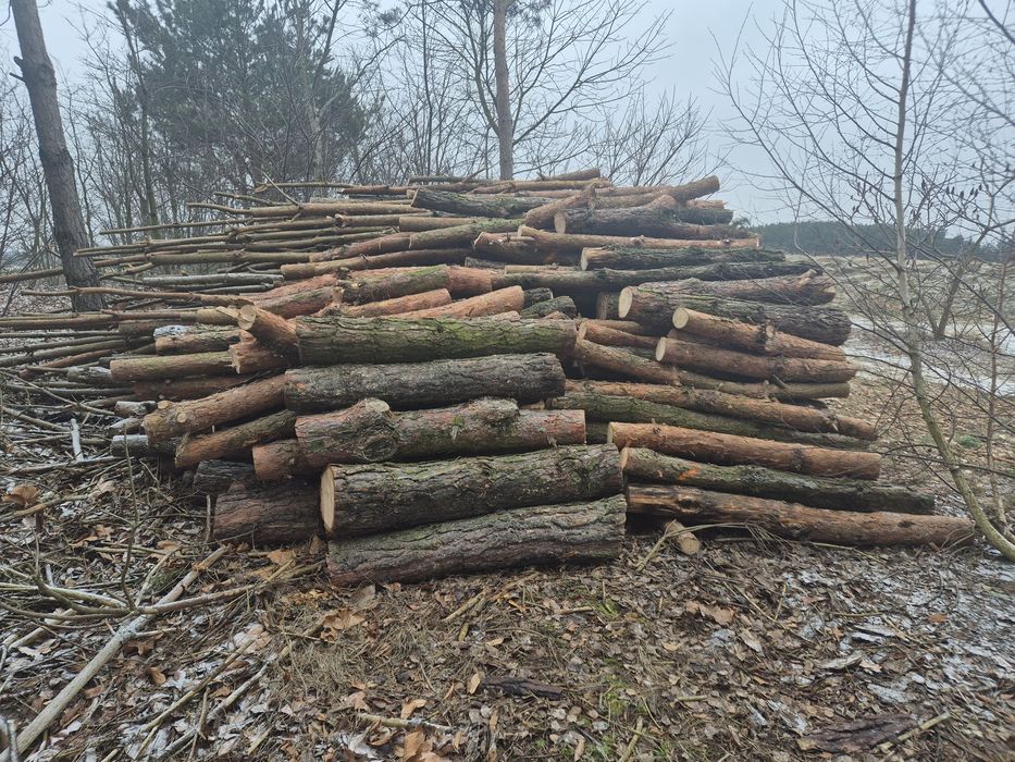 Sprzedam drzewo na opał.