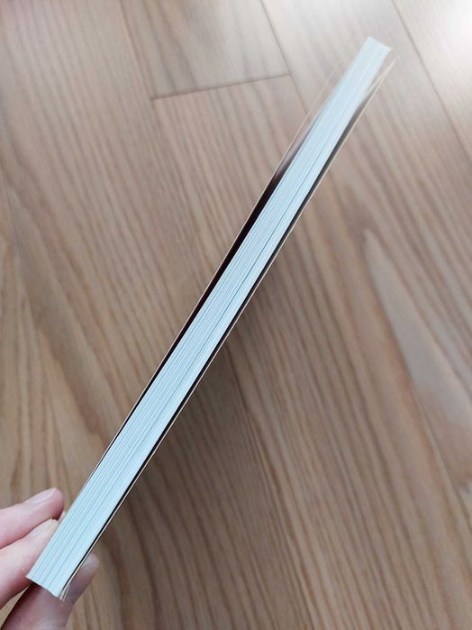 Livro Julio Verne - O segredo de Wilhelm Storitz