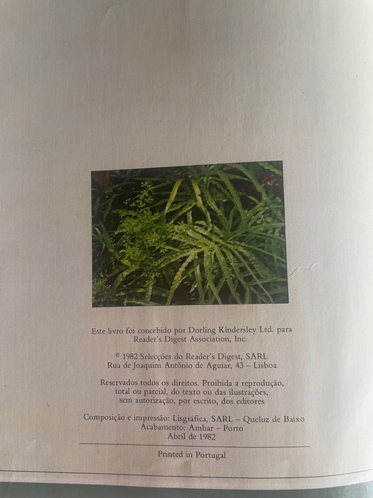 O grande Livro das plantas do interior 1982