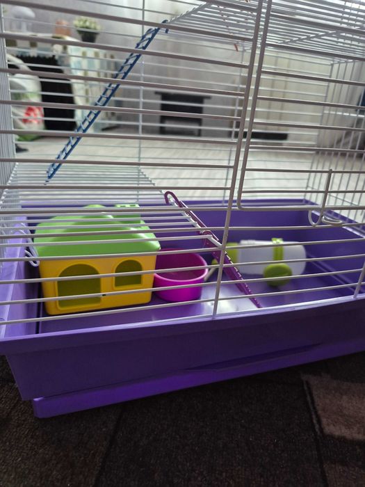 Клітка для гризунів