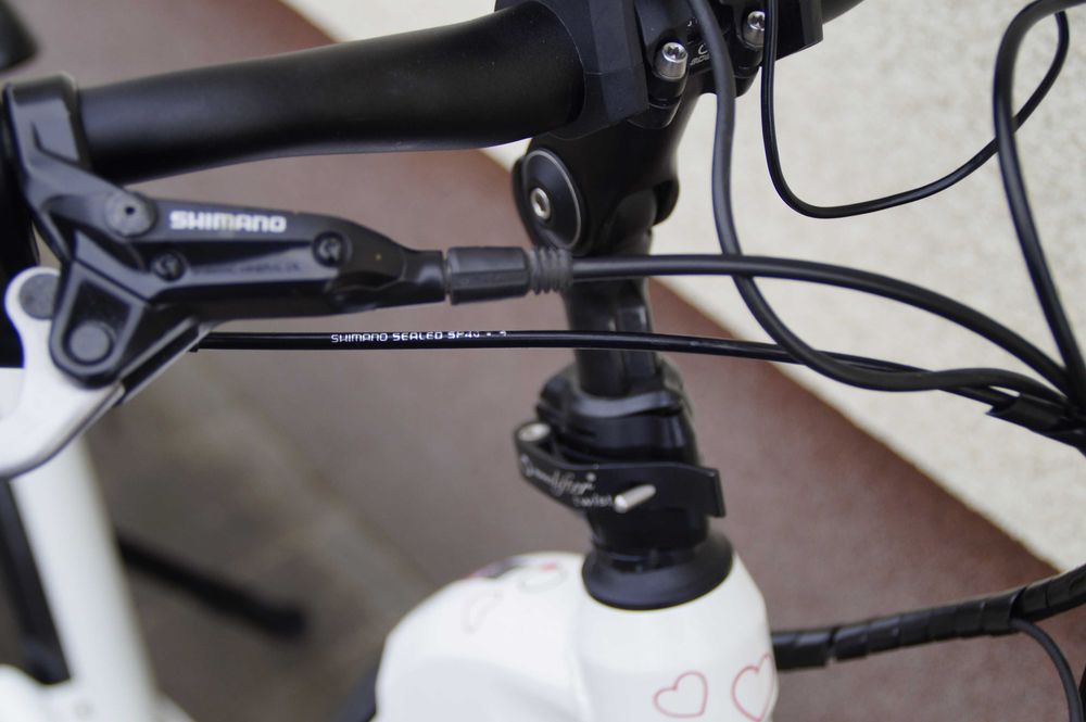 Rower elektryczny System Bosch napęd pasek piasta 8 biegowa