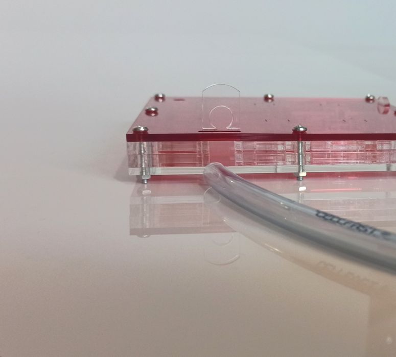 Formikarium akrylowe- 130x130