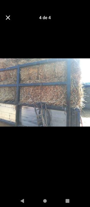 Vendo fardos de feno bom preço