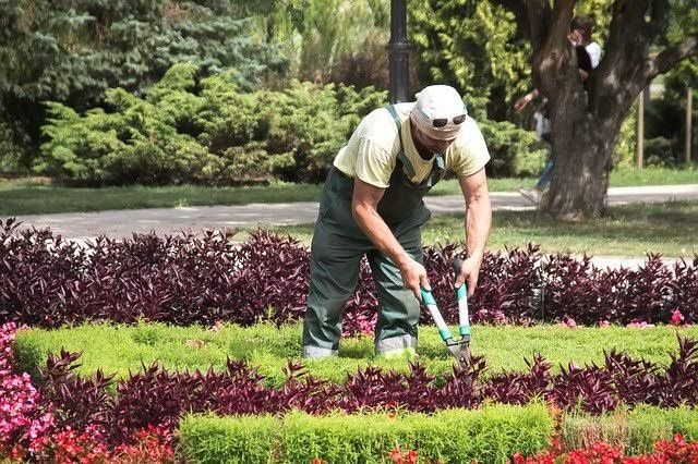 Manutenção de jardins na zona cascais/estoril/oeiras