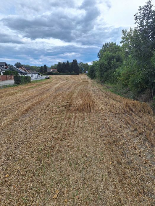 Sprzedam działki w Strąkowej przy DW382.Z-ce Śl.-Kamieniec Ząbkowicki