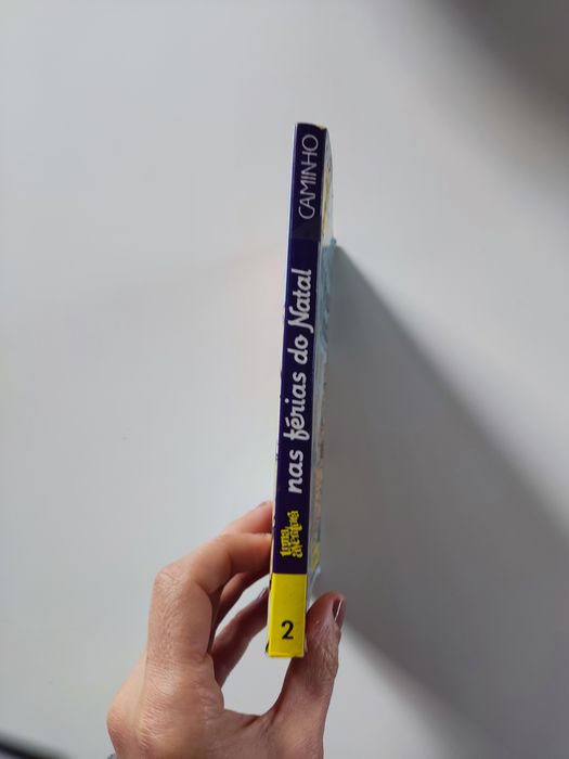 Livro uma aventura nas férias de natal - volume 2