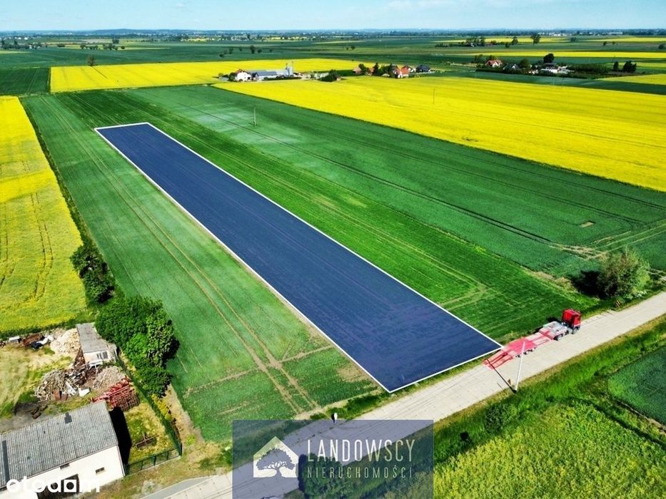 Twoja wymarzona duża działka blisko Tczewa! - Widok 4