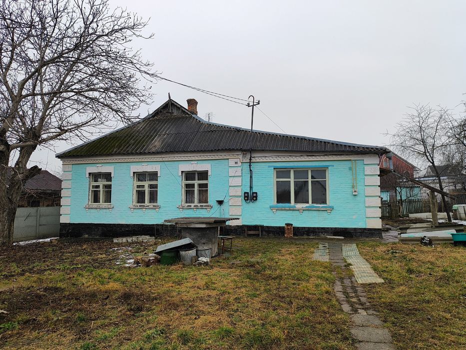 Продам цегляний будинок біля Острова Дитинства