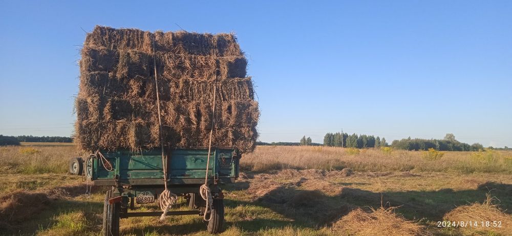Продам сіно та солому