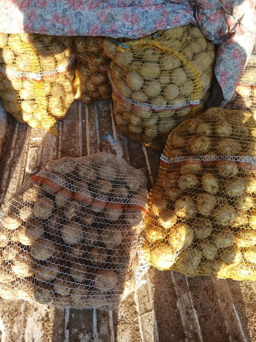 ziemniaki mlode workowane