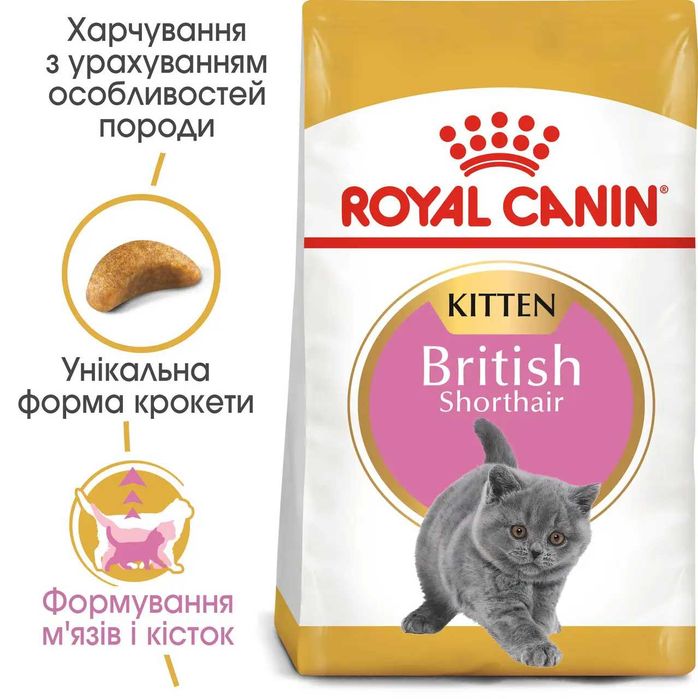 Royal Canin (Роял Канин) British kitten 10кг- корм для котят британцев