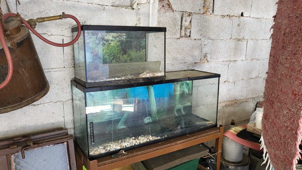 Aquarios para Peixes