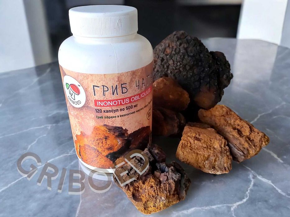 Гриб ЧАГА в капсулах (120 капсул) - ЗДОРОВЬЕ И ДОЛГОЛЕТИЕ!