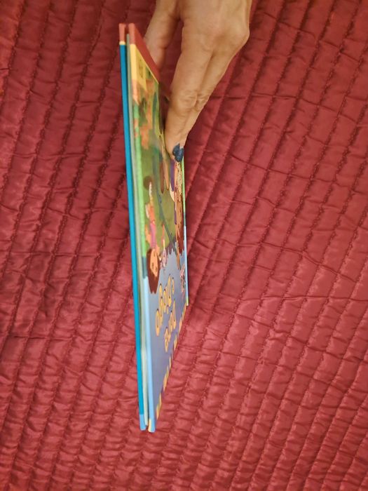 Dora Exploradora - Dora e Diogo