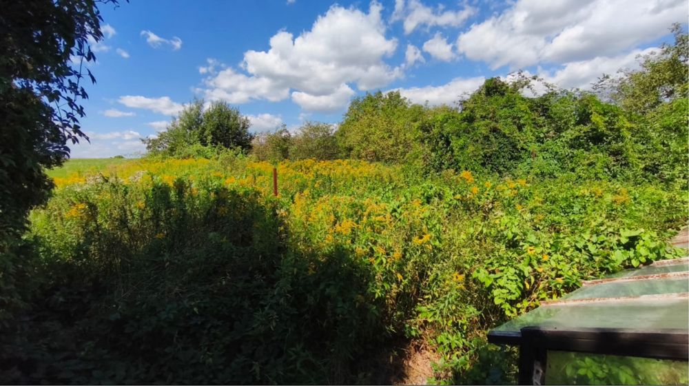 Dom Siedlisko Szebnie