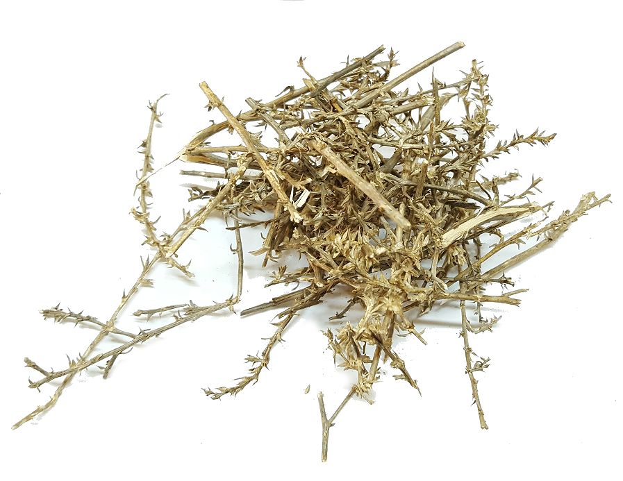 Солянка холмова трава