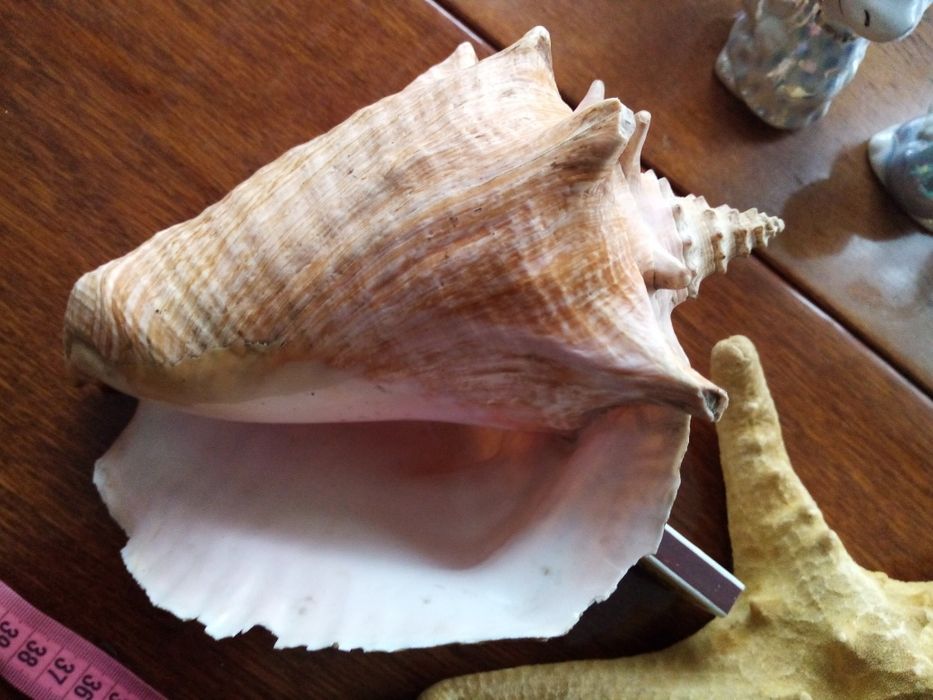 Продам у хорошому стані