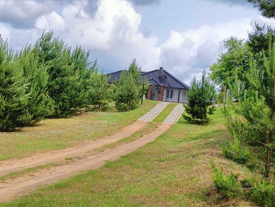 Domek parterowy duża działka na wyłączność. Blisko Lasy , Jeziora