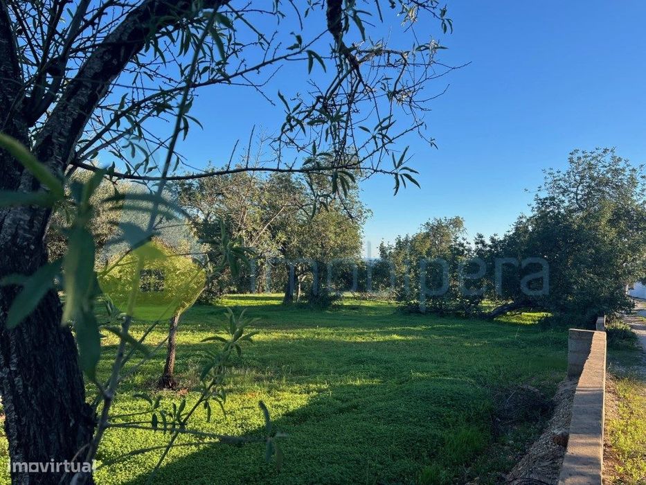 Excelente Lote De Terreno Rústico (2.900 M2) Com Amendoeiras — Boliqueime, Faro