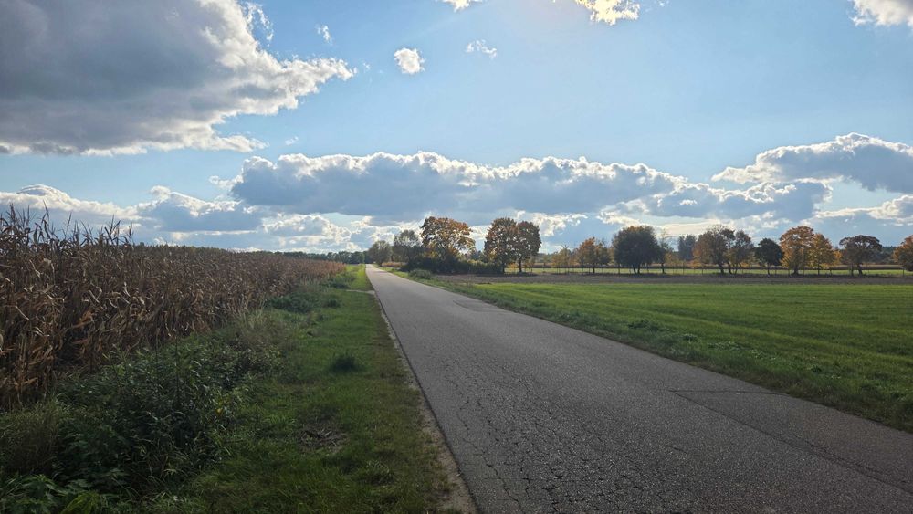 Działka nad Soną - Nowe Miasto