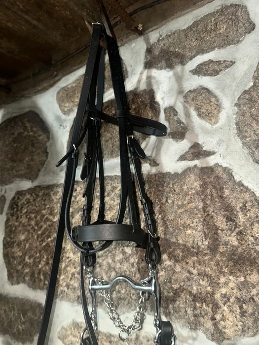 Arreios para cavalos