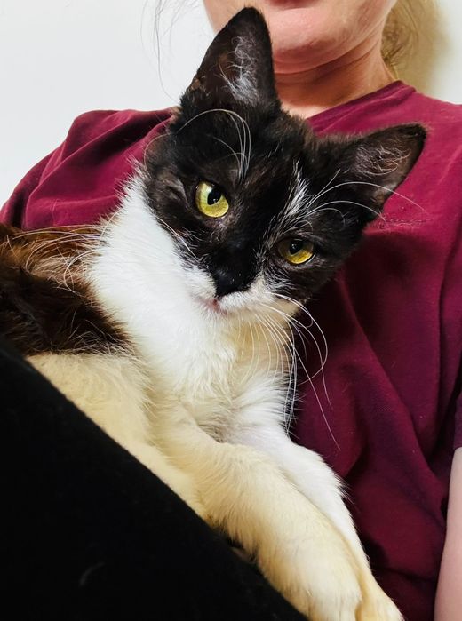 Malutka Müesli do kochania