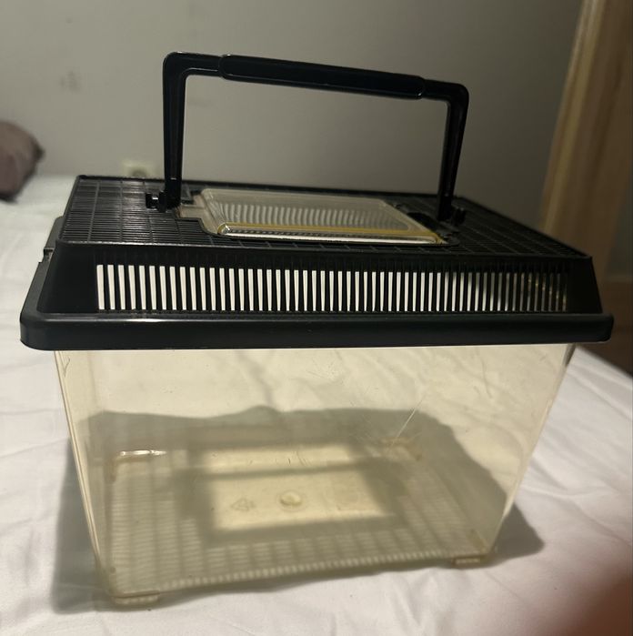 transporter dla gekona ze szczypcami