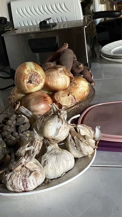 Quarto partilhado em mini-quintinha – c/ animais e horta