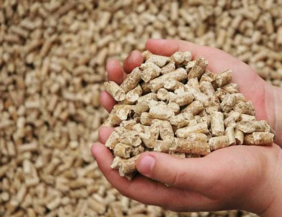 pellet certyfikowany z dostawą prosto od producenta