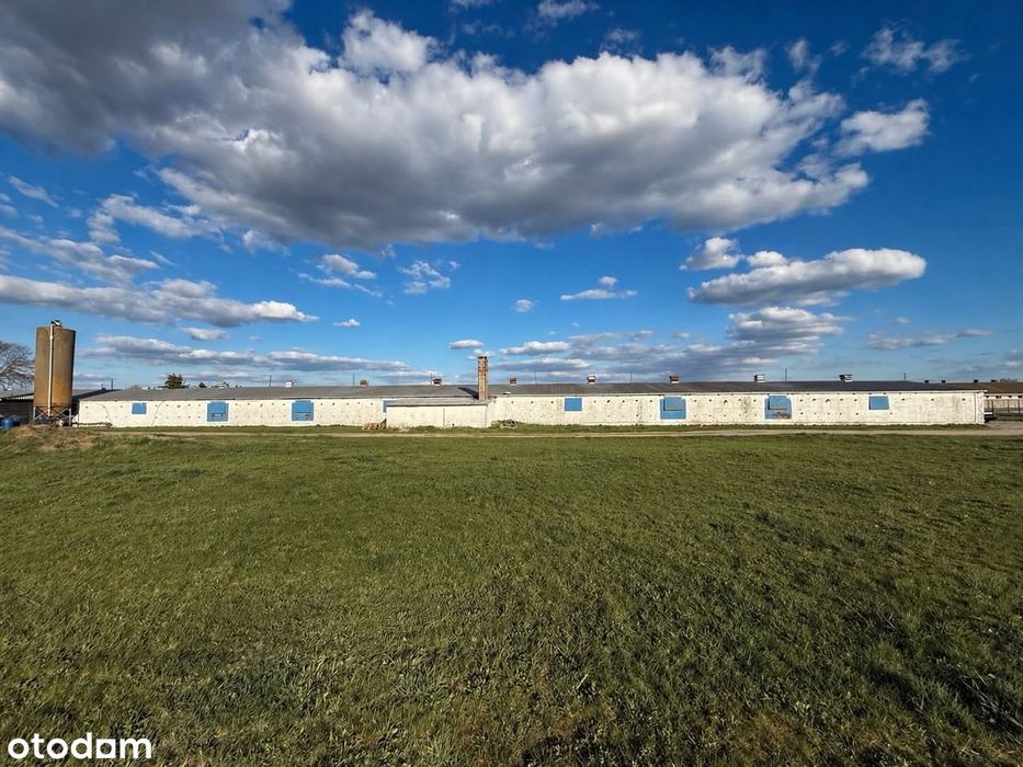 Do wynajęcia magazyn / hala 850 m²