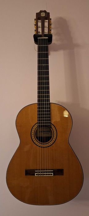 Gitara admira artista - Kraków/Katowice i okolicy
