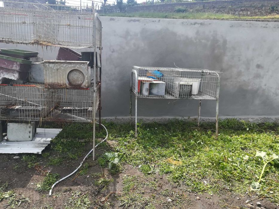 Coelheiras usadas como novas