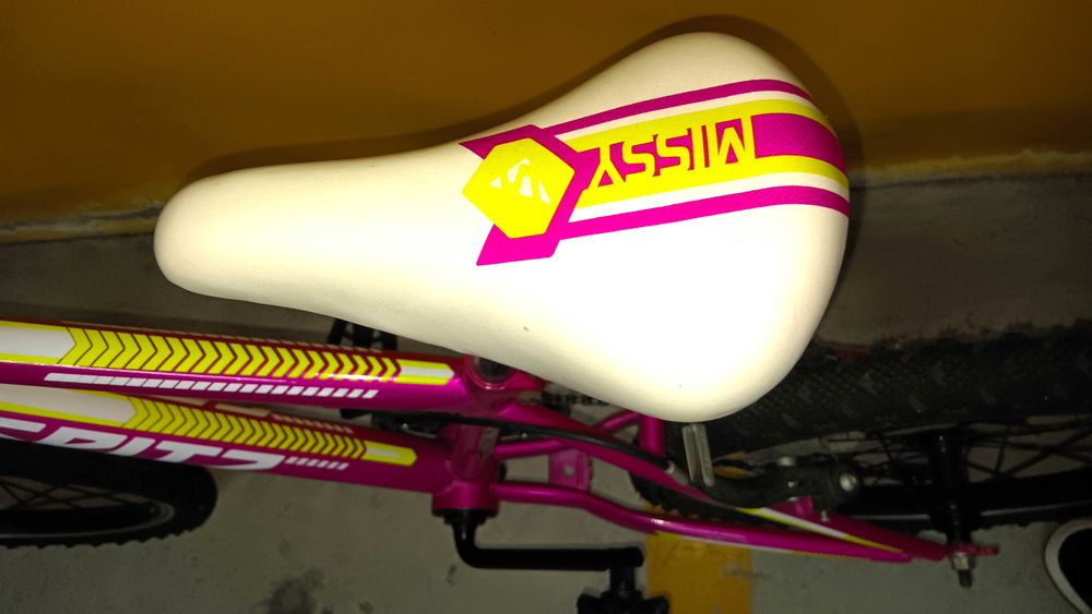 Bicicleta Criança - BTT/MTB 20'' (Com Suspensão e Mudanças)