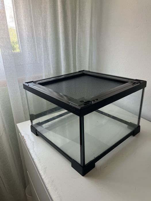 Terrario para repteis