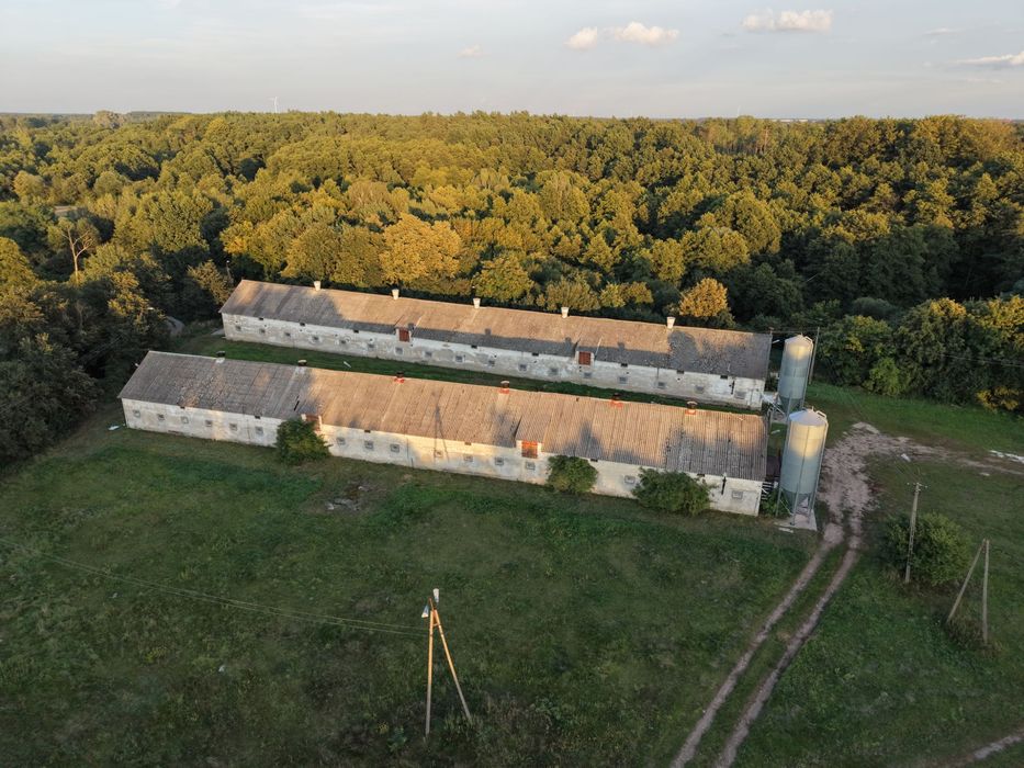 Zdjęcie 2