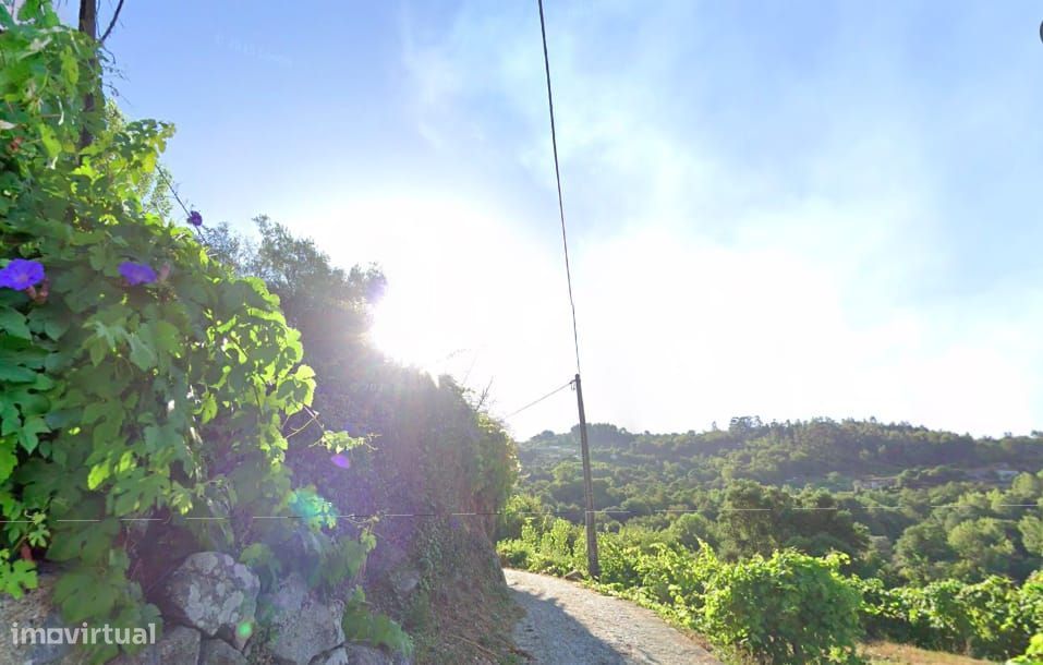 Terreno com 30 000 m2 no Douro e a 60 km Porto