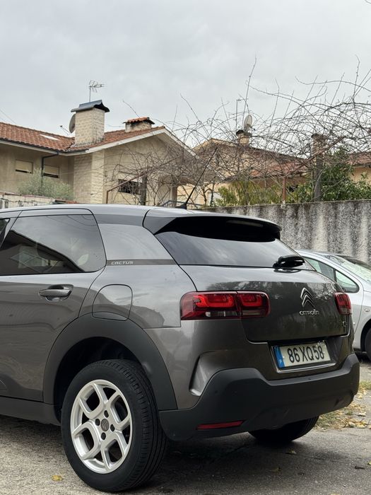 C4 Cactus 1.2 de 2019